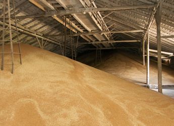 ДПЗКУ вже на 40% виконала річний план із заготівлі зерна